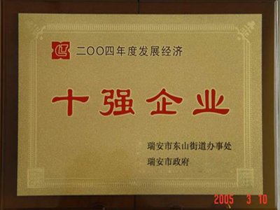 2004年度經(jīng)濟發(fā)展十強企業(yè)
